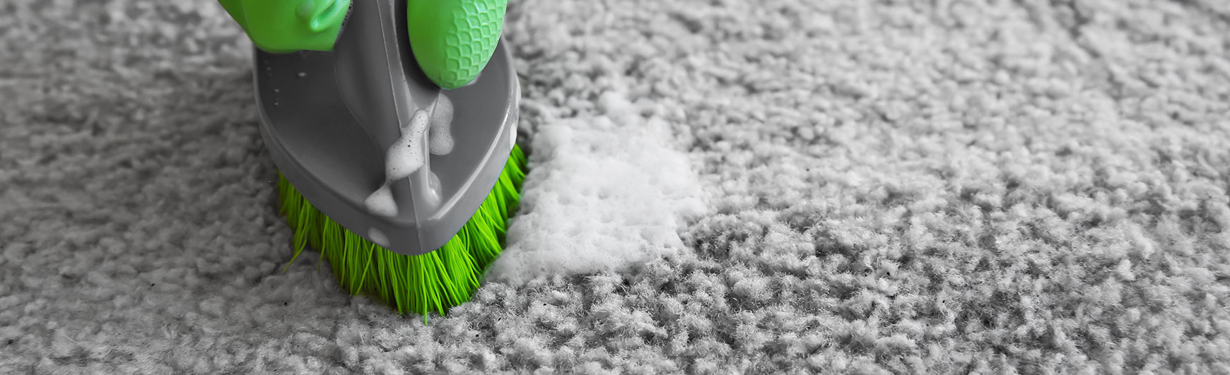 carpet carpet clean Santa Clarita